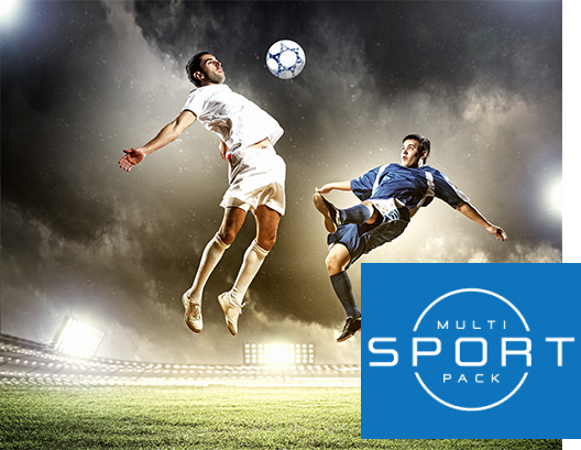 DISH Sports Packages & Channels | DISH (800) 950-7100
