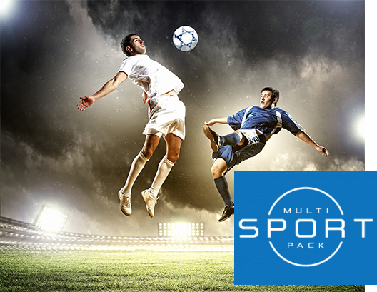 DISH Network Sports Packages