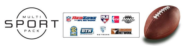 Dish Network Multi-Sport Pack with NFL Network and Redzone | Dish Network NFL Dish Network Multi-Sport Pack with NFL Network and Redzone | Dish Network NFL